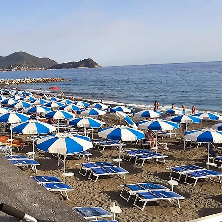 Gomitolo Di Mare *